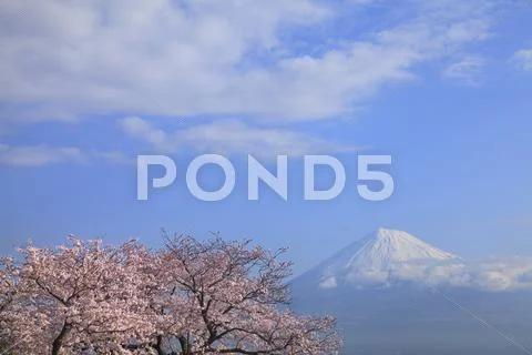 Shizuoka Prefecture, Japan Stock Photos