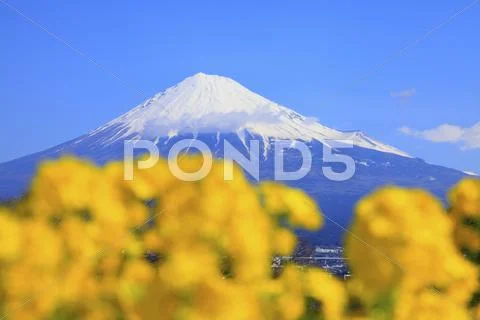 Shizuoka Prefecture, Japan Stock Photos