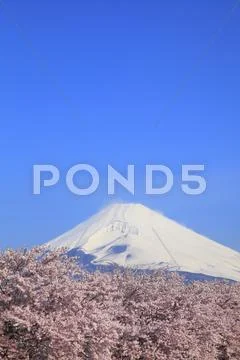 Shizuoka Prefecture, Japan Stock Photos