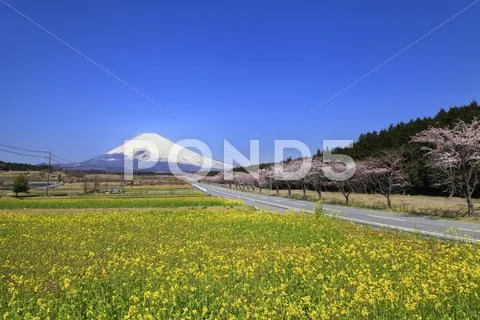 Shizuoka Prefecture, Japan Stock Photos