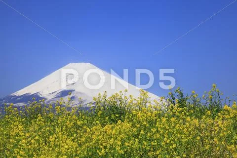 Shizuoka Prefecture, Japan Stock Photos