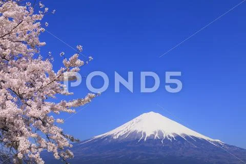 Shizuoka Prefecture, Japan Stock Photos