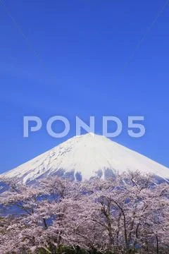 Shizuoka Prefecture, Japan Stock Photos