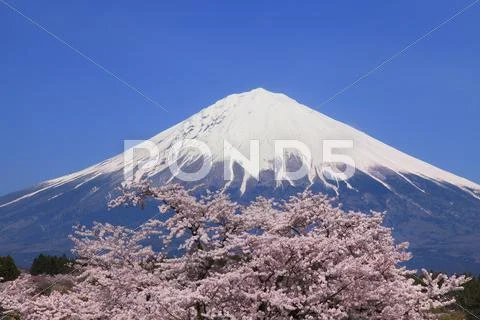 Shizuoka Prefecture, Japan Stock Photos