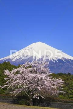Shizuoka Prefecture, Japan Stock Photos