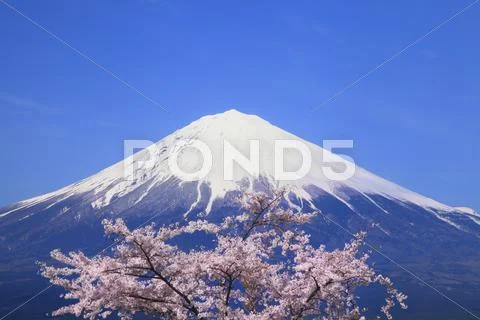 Shizuoka Prefecture, Japan Stock Photos