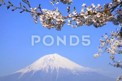Shizuoka Prefecture, Japan Stock Photos