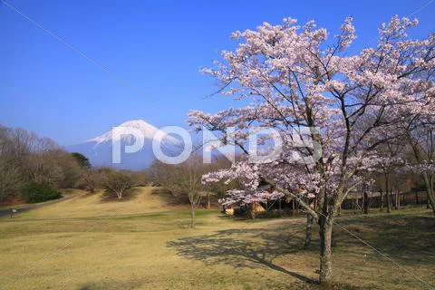 Shizuoka Prefecture, Japan Stock Photos