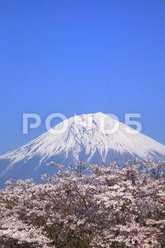 Shizuoka Prefecture, Japan Stock Photos