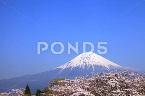 Shizuoka Prefecture, Japan Stock Photos
