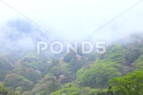 Shizuoka Prefecture, Japan Stock Photos