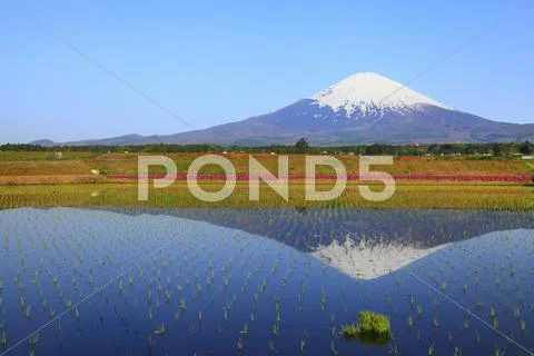 Shizuoka Prefecture, Japan Stock Photos