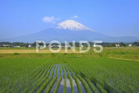 Shizuoka Prefecture, Japan Stock Photos
