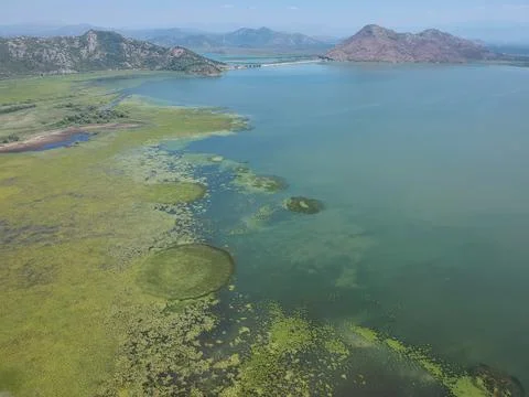 Shkoder Lake Stock Photos