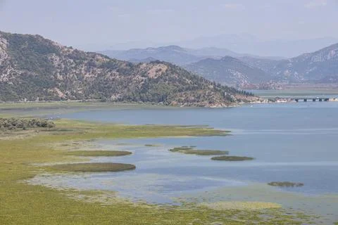 Shkoder Lake Stock Photos