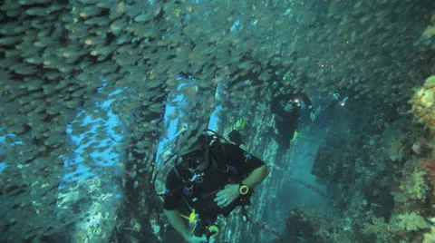 Shoal of Bait fish inside the ship wreck with diver in the background Stock Footage 22705502