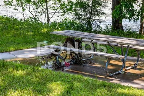 Shoal Creek Flooding-May 25, 2019 Stock Photos