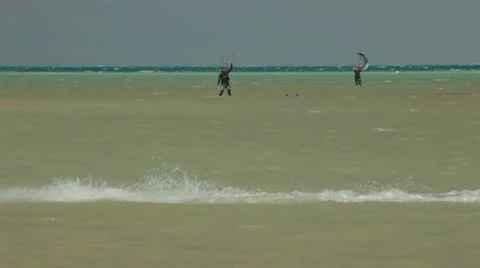 Shoal of ergeant major Stock Footage 22635829