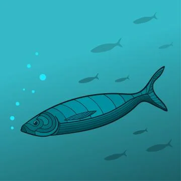 Shoal of Fish Stock Illustration