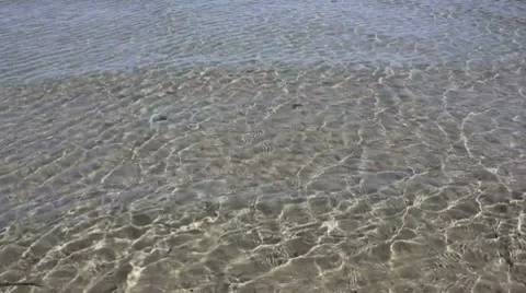 Shoal Stock-Footage 7758520