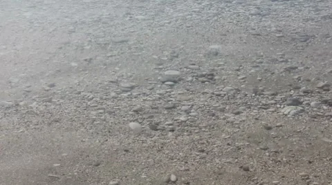 Shoal 스톡 동영상 8621938