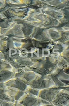 Shoal of minnows swim in crystal water Stock Photos