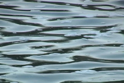 Shoalcalm Stock Footage 293177