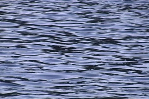 Shoalcalm2 Stock Footage 293198