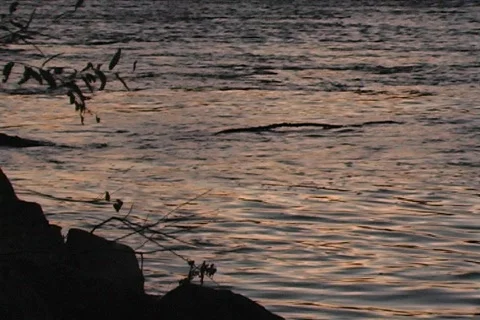 Shoalcalmdusk Stock Footage 293199