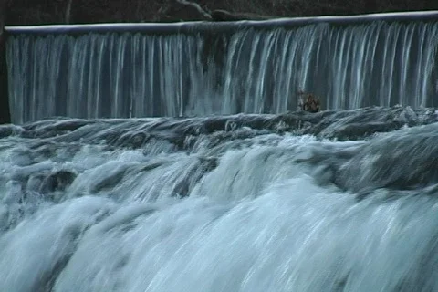 Shoalfalls7 스톡 동영상 293335