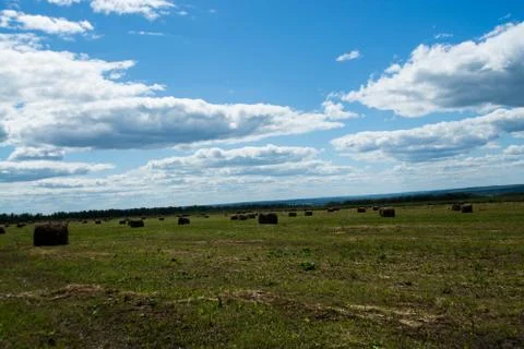 A shock of hay on the field Stock Photos