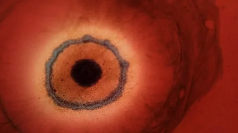 Shock Wave Video stock 7752352