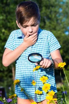 Shocked boy with magnifying glass Stock Photos