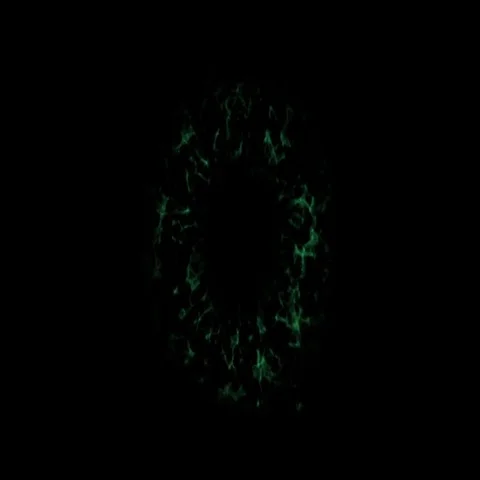 Shockwave green Stock Footage 69506220