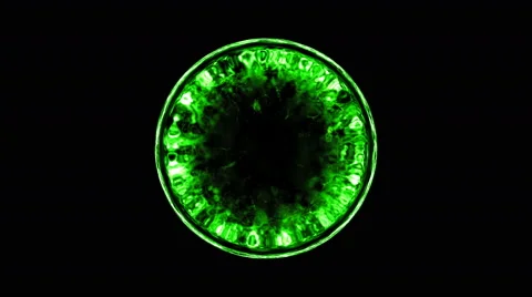 Shockwave magnetic gravitation wave explode animation motion graphic abstract Video stock 64754720