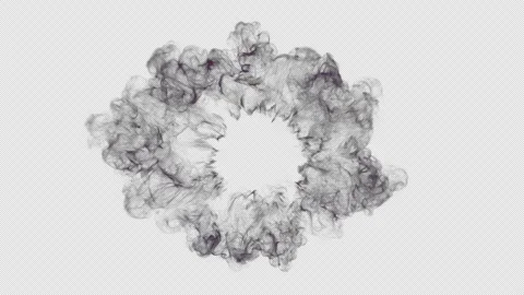 Shockwave particles explosion. Steam or dust wave animation. Embedded alpha.. Stock Footage 336030922