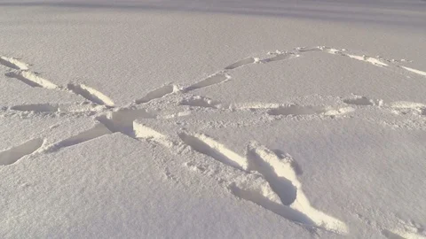 Shoe footprints in snow Stock Footage 72099954