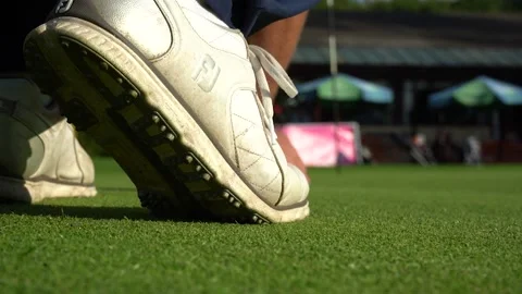 Shoe on golf green Stock Footage 163275149