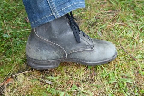 Shoe on green herb Stock Photos
