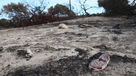 A shoe has blood drops on it Stock Footage 94255730