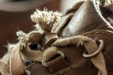 Shoe laces Stock Photos