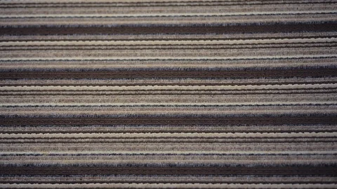 Shoe lacing 6 Stock Footage 120770098