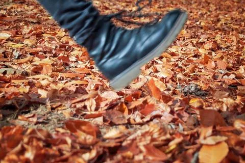 Shoe or boot floats or strides through the forest floor covered with leaves.. Stock Photos