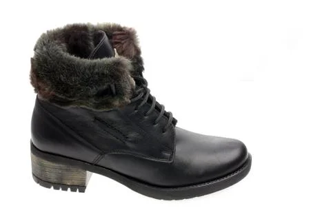 Shoe Stock Photos