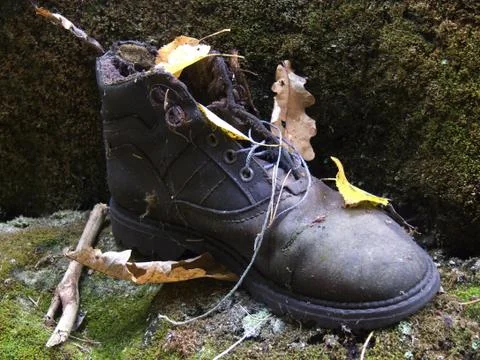  shoe Stock Photos