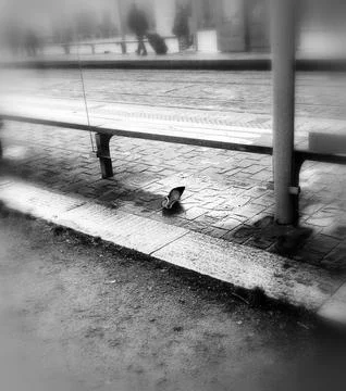 The Shoe 스톡 사진