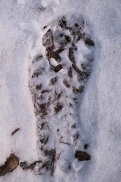 Shoe print Stock Photos