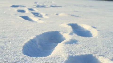 Shoe prints in the snow Stock-Footage 743664