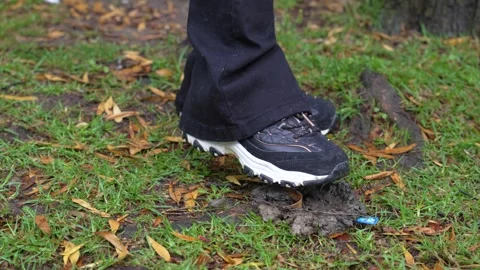 Shoe Stepping in Mud and Trying to Clean Up Stock Footage 288253892