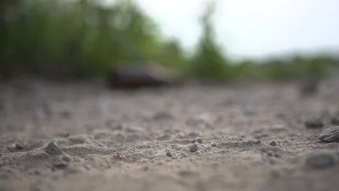 Shoe Steps on Hand-Rolled Cigarette Butt HD Video Stock Footage 90672253